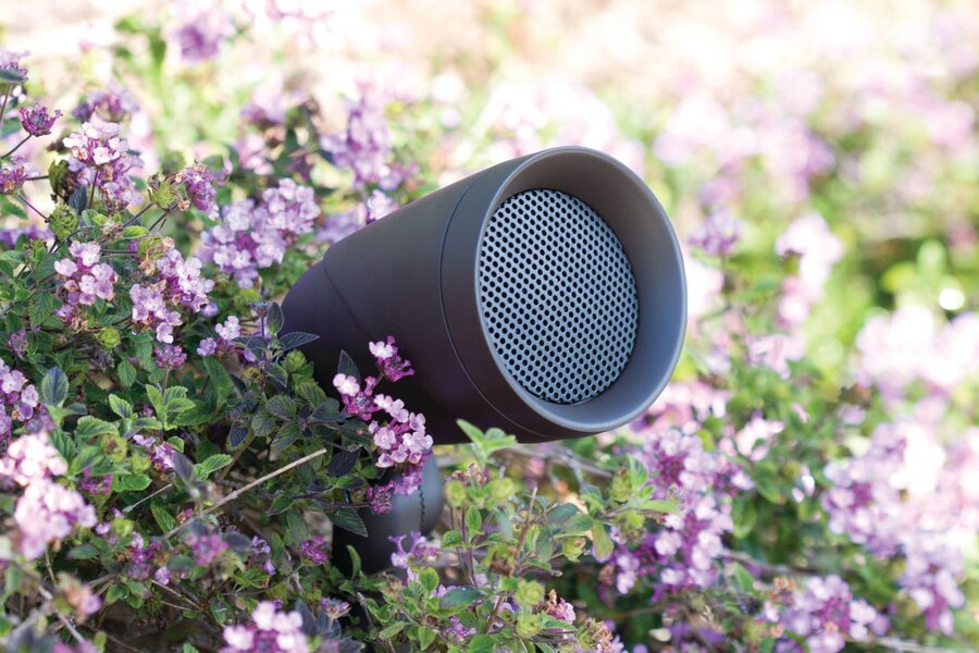 PictureA Sonance outdoor audio speaker among flowers in a backyard.